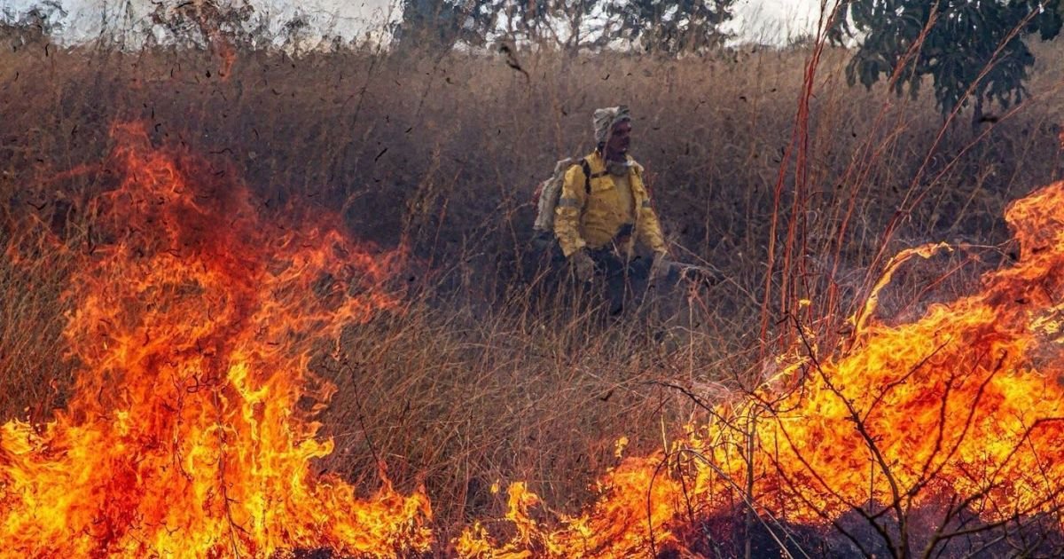 Raio provoca foco de incêndio no Parque Nacional da Chapada dos Veadeiros