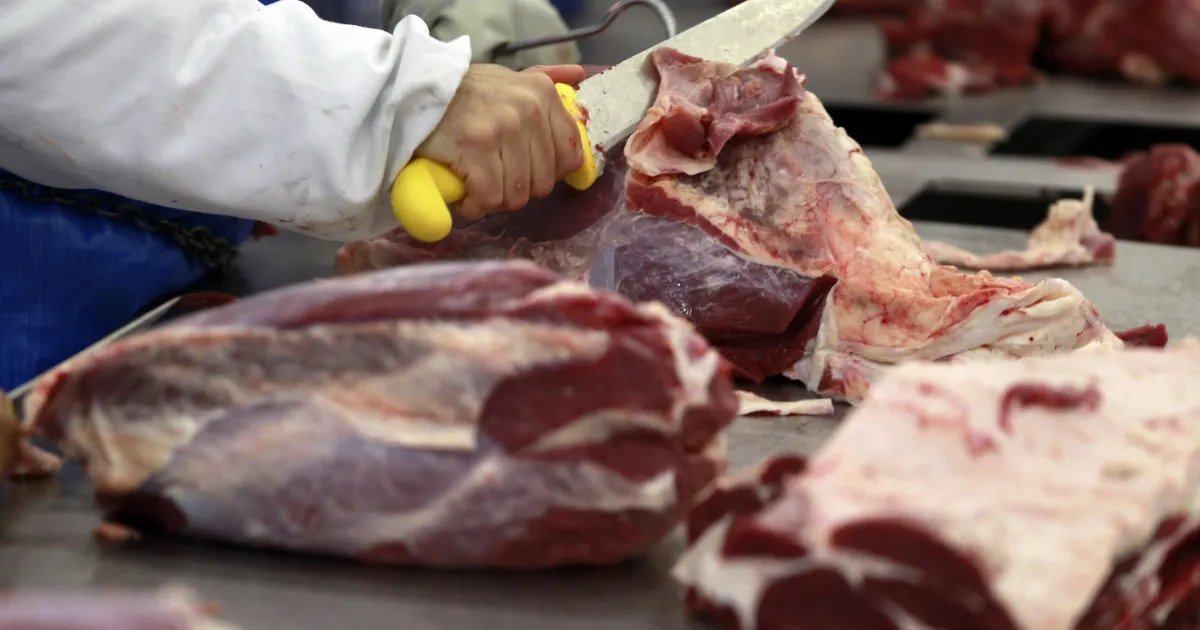 Crise na oferta de gado já impacta as indústrias frigoríficas dos EUA