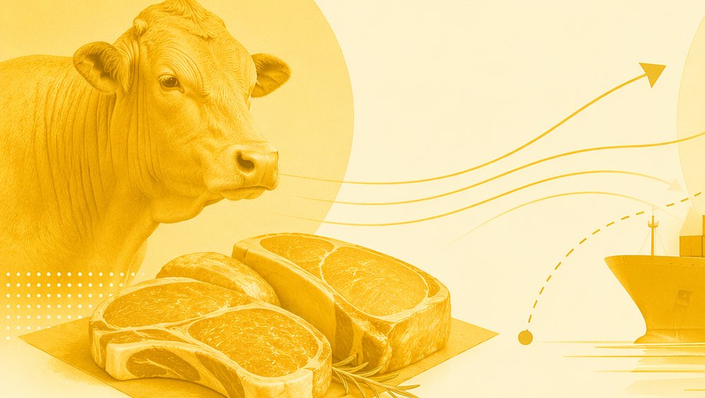 Brasil diz que adaptação às regras da UE dependia do setor de carnes