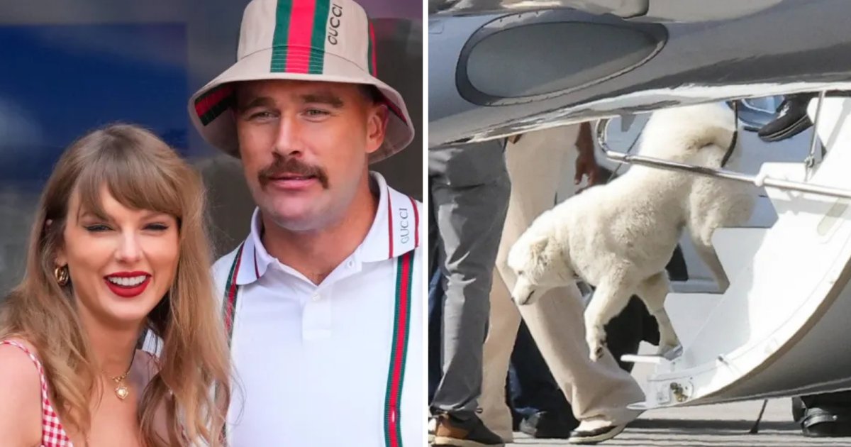 Taylor Swift e Travis Kelce adotaram um novo cachorro? Entenda