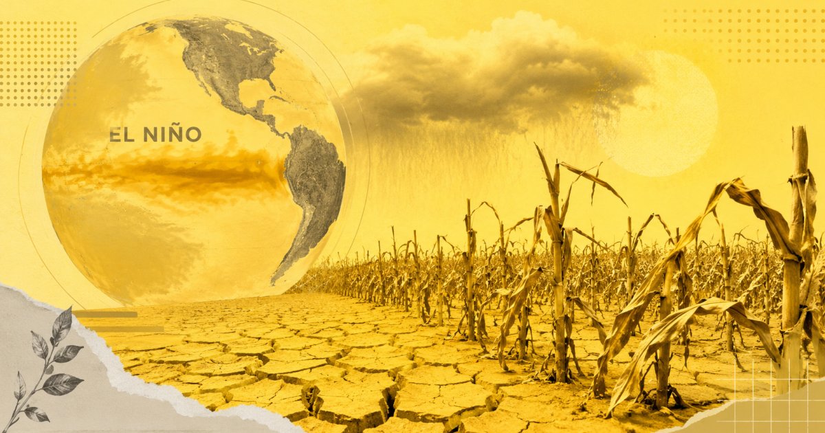 Estoques recordes e tecnologia amortecem impacto do El Niño