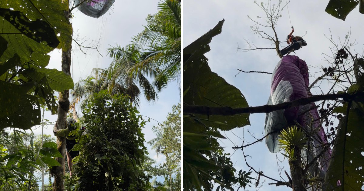 Homem cai de parapente e fica preso no topo de árvore em SC