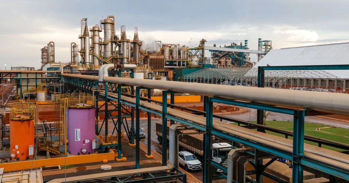 CerradinhoBio amplia moagem e investimentos, mas lucro e receita recuam