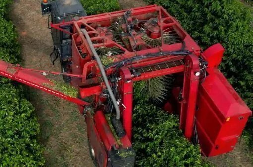 Colheita de café avança para 67,3% na área da Cooxupé