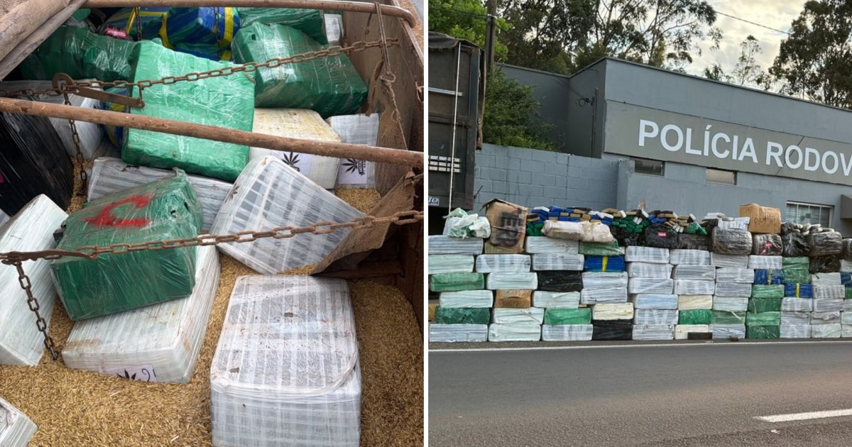 Homem é preso com três toneladas de maconha em carga de aveia em SP