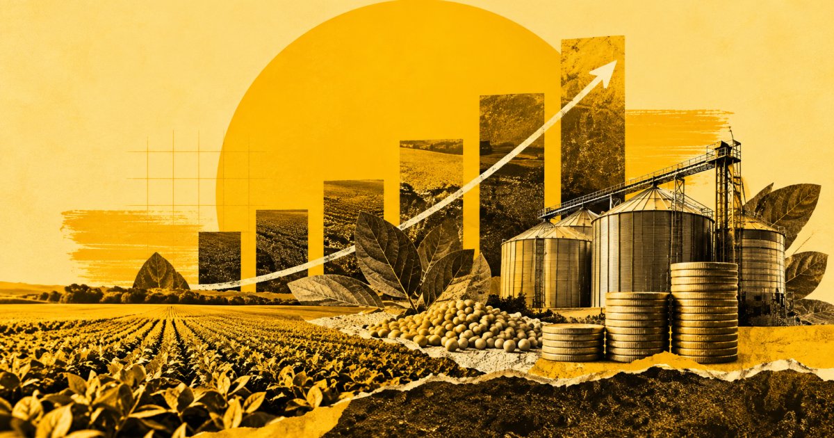 Fiagro muda de perfil cinco anos após criação e amplia crédito no agro