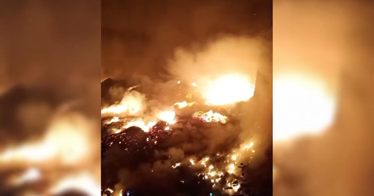 Governo reconhece emergência em 36 cidades do Amazonas após incêndios