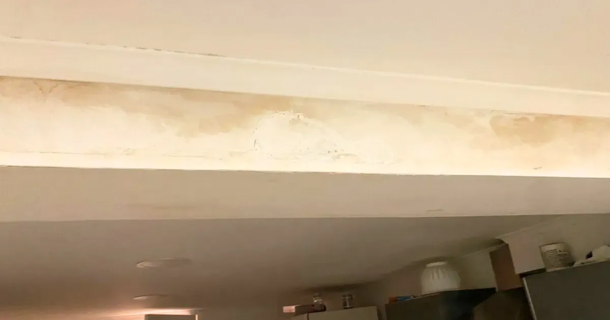 Condensação, infiltração ou capilaridade? Descubra qual é o tipo de umidade da sua casa antes de gastar dinheiro com reforma